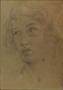 Head of a Young Man